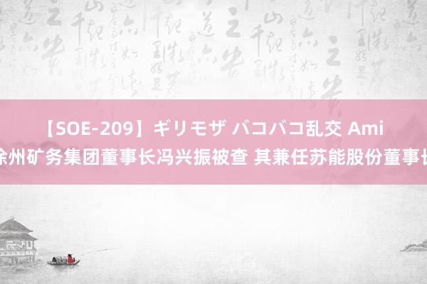 【SOE-209】ギリモザ バコバコ乱交 Ami 徐州矿务集团董事长冯兴振被查 其兼任苏能股份董事长