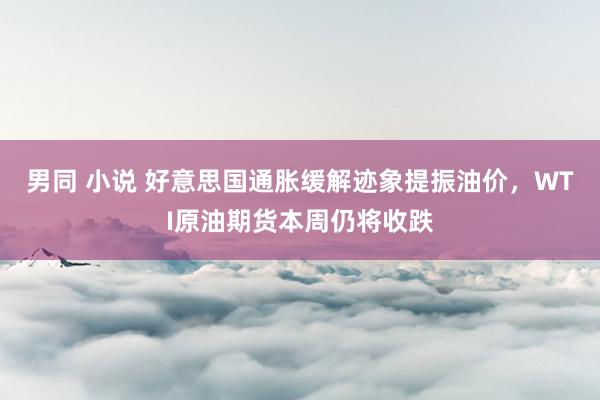 男同 小说 好意思国通胀缓解迹象提振油价，WTI原油期货本周仍将收跌