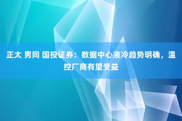 正太 男同 国投证券：数据中心液冷趋势明确，温控厂商有望受益