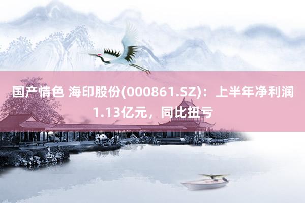 国产情色 海印股份(000861.SZ)：上半年净利润1.13亿元，同比扭亏