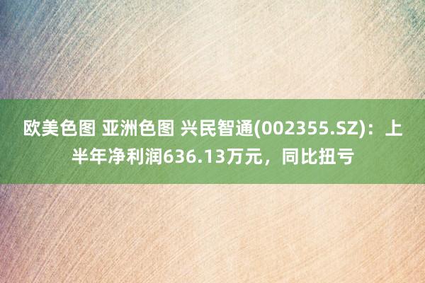 欧美色图 亚洲色图 兴民智通(002355.SZ)：上半年净利润636.13万元，同比扭亏