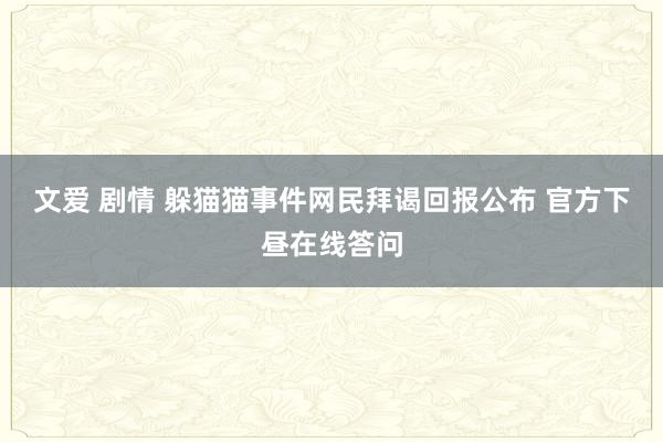 文爱 剧情 躲猫猫事件网民拜谒回报公布 官方下昼在线答问