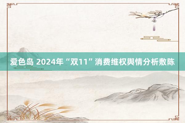 爱色岛 2024年“双11”消费维权舆情分析敷陈